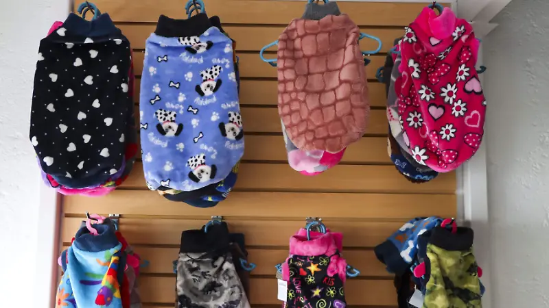 251208_ROPA NAVIDEÑA PARA MASCOTA_HA